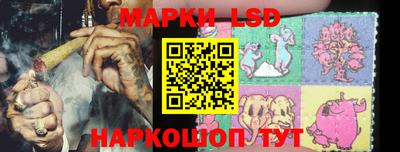apvp Обнинск