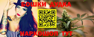 стафф Обь