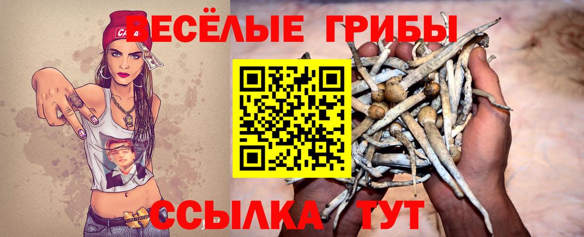 Галлюциногенные грибы ЛСД Сорочинск