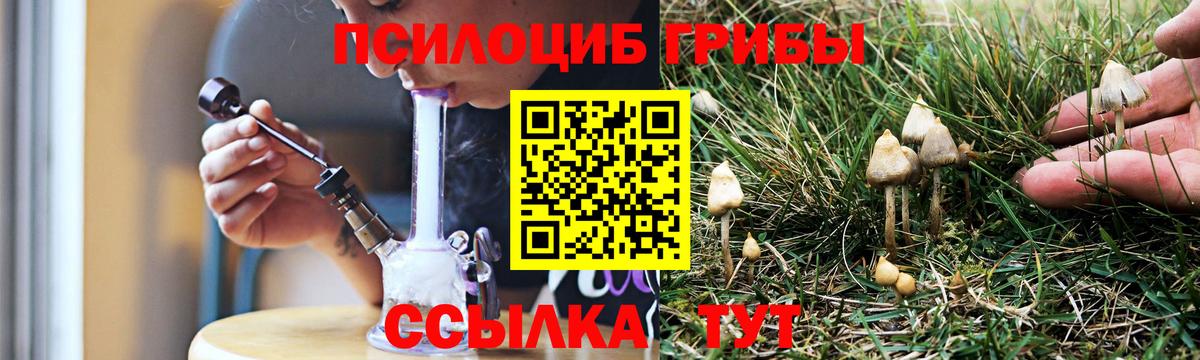 Галлюциногенные грибы MAGIC MUSHROOMS  Вход с VPN  Сорочинск  Галлюциногенные грибы Psilocybine cubensis 